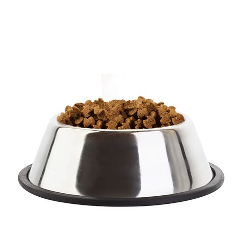 Dog Bowl Png Png Image Collection