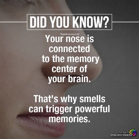 Your Nose Is Connected To The Memory Center Of Your Brain