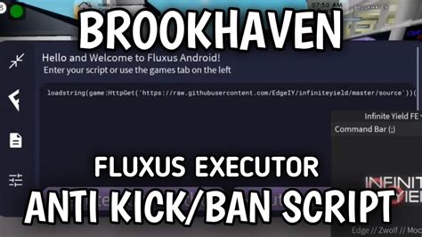 Roblox Brookhaven Anti Kick Ban Script Fluxus Executor Youtube
