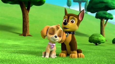 Animated Couples Images Chase X Skye Paw Patrol Hd Wallpaper And