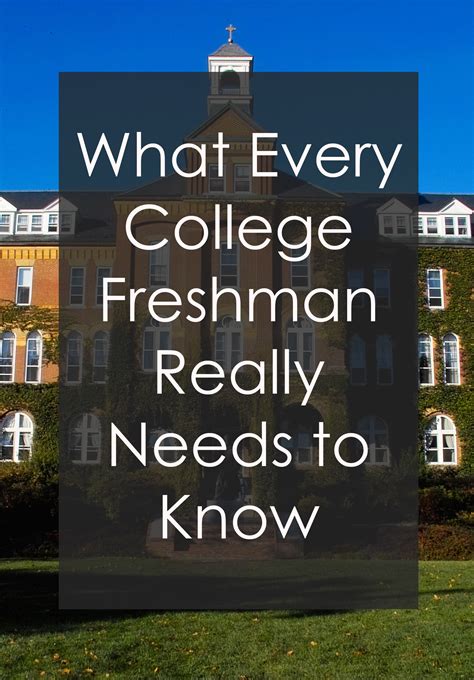 What Every College Freshman Really Needs To Know Society19