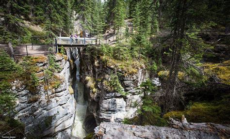 Maligne Canyon Discover The Deepest Canyon In The Rockies