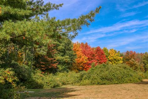 Snapshots: Fall in New Hampshire (Part One) — Miles 2 Go