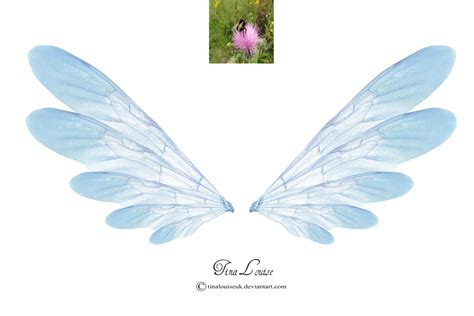 Transparent Fairy Wings By Tinalouiseuk Wings Png Blue Fairy Fairy