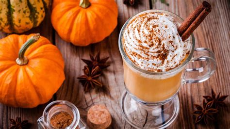 And once you find out what human foods your feline friend can eat, you can start getting creative by making your kitty delicious diy cat treats. Copycat Starbucks Pumpkin Spice Latte