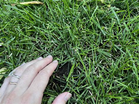 How To Plant Grass Seed On Hard Dirt For A Lush Lawn 🌱🚜 Breaking Ground