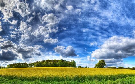 2560x1600 Nature Landscape Hdr Field Trees Clouds Wallpaper