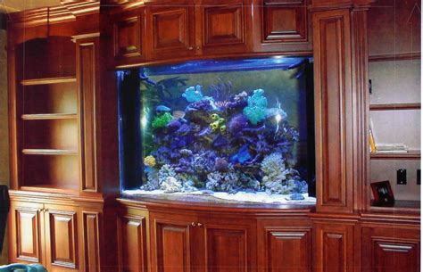 Built In Saltwater Tank 180 Gal Built In Aquarium Fish Tank Fish