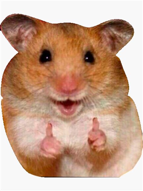 Peace Hamster Meme Sticker For Sale By Devapp Redbubble