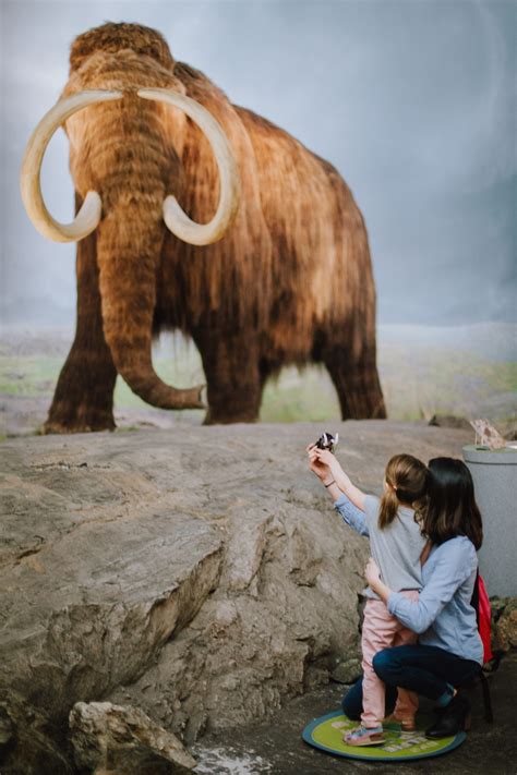 You Asked How Was Woolly The Mammoth Made Royal Bc Museum And Archives