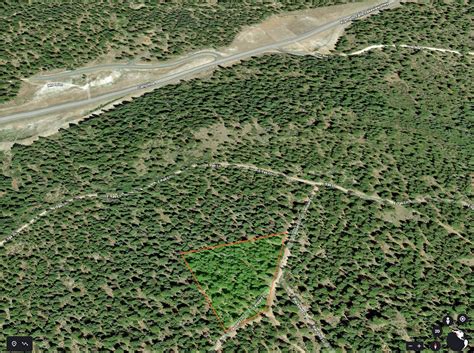 LAND EQUITIES — GORGEOUS 1.79 ACRE PROPERTY COVERED WITH TREES! LEOPARD