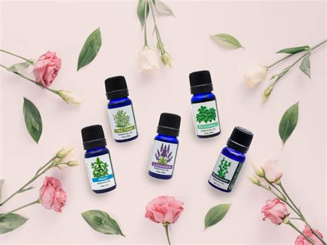 Spa Aromatherapy Oils