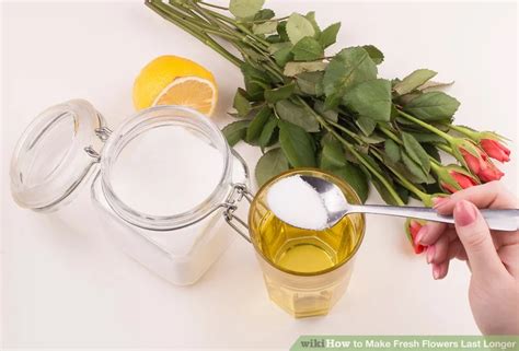 Lady sylvie is a young sprite at the beginning of the novel, and later a true fairy. How to Make Fresh Flowers Last Longer | Flowers last ...