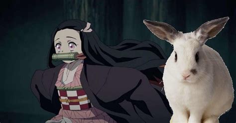 Demon Slayer Cosplay Introduces Bunny Nezuko