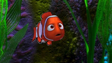 Finding Nemo Finding Nemo Image 3565137 Fanpop