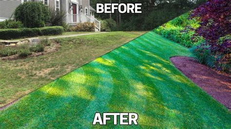 Fix An Ugly Lawn 5 Tips Easy Step By Step Guide For Beginners Youtube