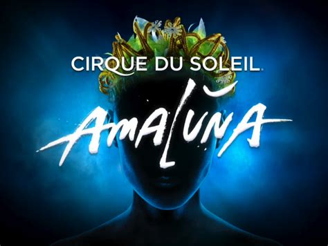 Le Cirque Du Soleil Et Son Lexique Cirque Du Soleil Cirque Du Soleil