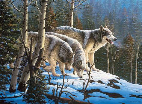 Wolves In Moonlight Trees Artwork Aspens Firs Winter Predators