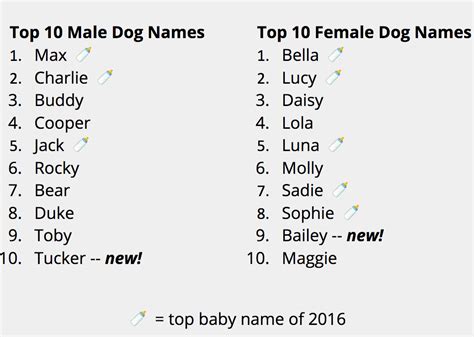 Reveals The Most Popular Dog Names Of 2016 The Dog People By