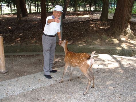 To go up to or stop and speak to someone in a…. Local Accosted by Deer | This old guy was being accosted ...