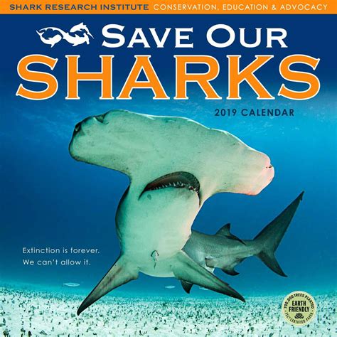 Save Our Sharks 2019 Wall Calendar Shark Research Institute