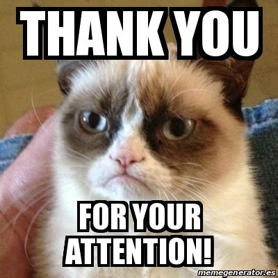 Meme Grumpy Cat Thank You For Your Attention 19743393