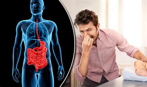 Ibs And Crohns Disease Symptoms They May Be The Reason Why You Cant