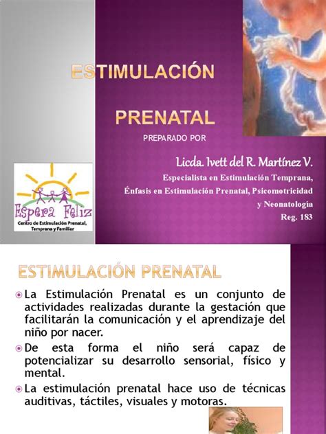 Estimulacion Prenatal Cerebro El Embarazo