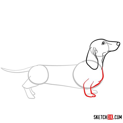 How To Draw The Dachshund Dog Sketchok Easy Drawing Guides