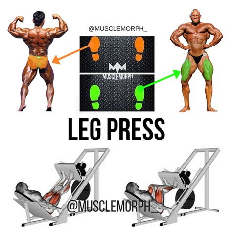 Leg Press Position Leg Press Machine Leg Press Leg Day Muscle Gym