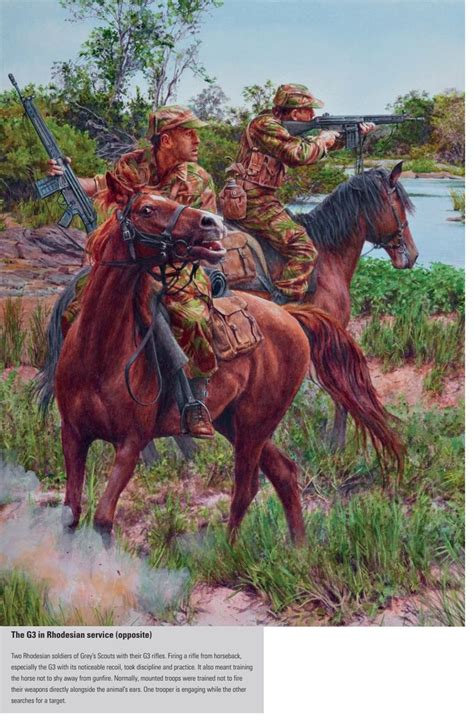 Pin By Grhzf On Bush Wars In 2020 Military Artwork War Horse