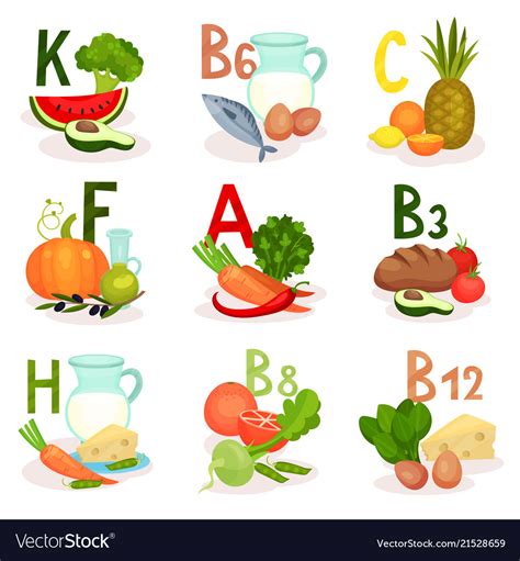 Food Sources Different Vitamins Healthy Royalty Free Vector