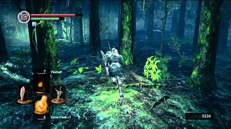 Dark Souls Gameplay Darkroot Garden Uncut Hd Youtube
