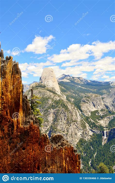 Yosemite National Park Stock Photo Image Of Trees