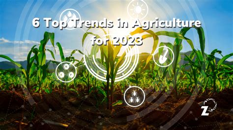 6 Top Trends In Agriculture For 2023 Zylem