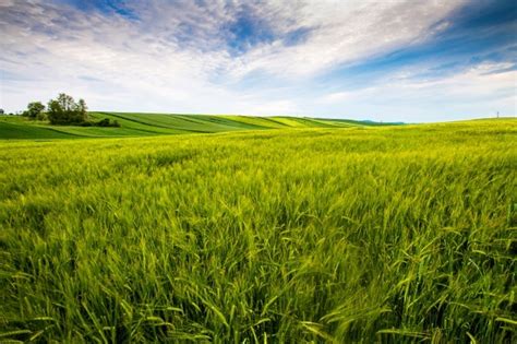 Soleggiato paesaggio primaverile vettore gratis / trova immagini stock hd a tema paesaggio estivo soleggiato. Paesaggio Soleggiato Hd : Materiale Di Base Della Citta Civile Luminoso Paesaggio Soleggiato ...