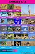 Animals A-Z: Amazing List of 300+ Animals A to Z in English - Visual ...