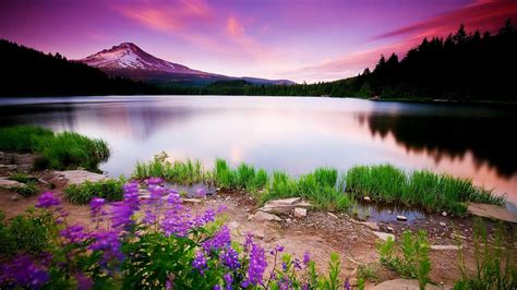 Beautiful Landscape Wallpaper Download Free Pixelstalknet