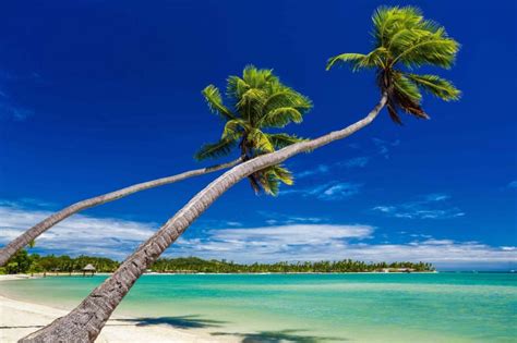 Ten Interesting Facts About Fiji TravelingEast