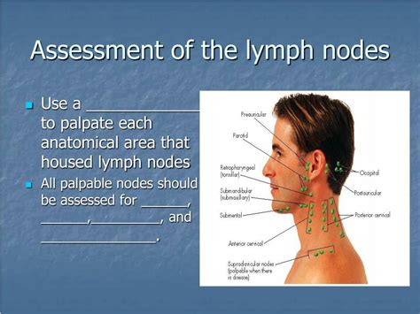 Ppt Assessment Of The Head Face And Neck Powerpoint Presentation Id