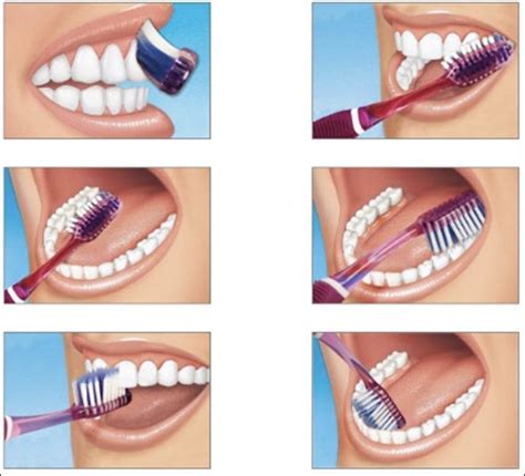 Técnica De Cepillado Brushing Teeth Dental Health Dental Photography