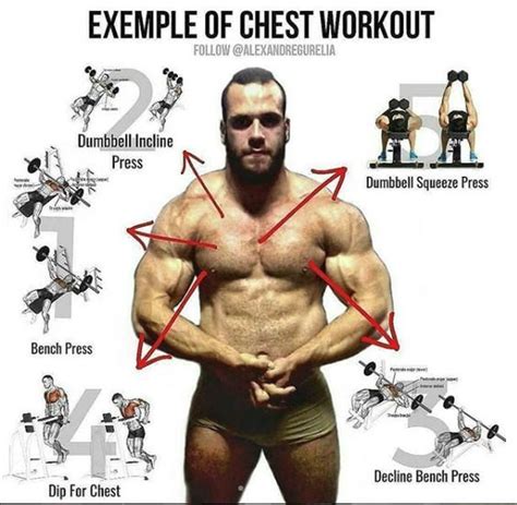 30 Minute Upper Chest And Lower Chest Workouts For Beginner Fitness