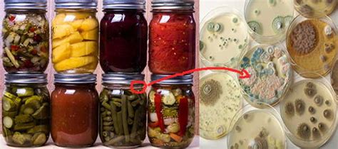 Oh and don't forget to check out the free library on the. How to Tell When Your Canned Foods Become Spoiled? | Ask a ...