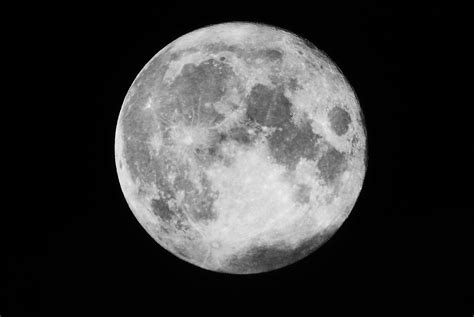 Full Moon Night Free Photo On Pixabay