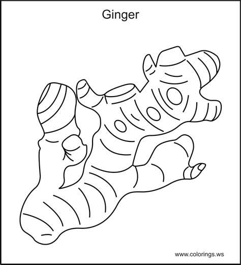 Download Ginger coloring for free - Designlooter 2020 👨‍🎨