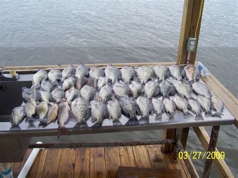Maybe you would like to learn more about one of these? Larto Lake Fishing Report 3-27-09
