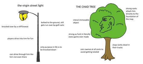 The Virgin Street Light Vs The Chad Tree Rvirginvschad