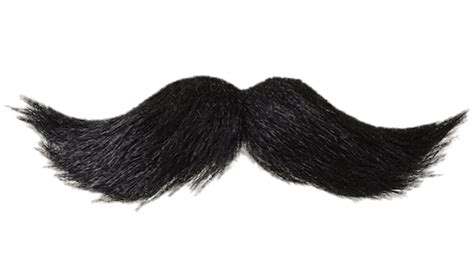 Moustache Png Transparent 10 Free Cliparts Download Images On
