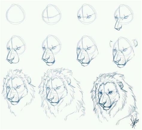 How To Draw Animals Inspiration And Step By Step Tutorials