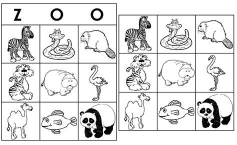 Acp Activity Printables